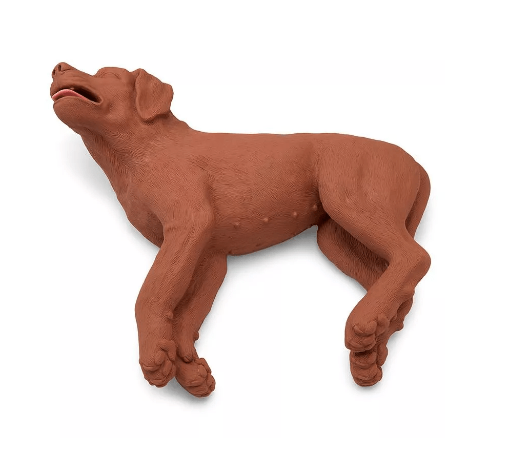 HLW Übungshund CasPeR - Erler - Zimmer